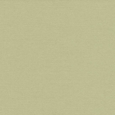 1,6 mm Passepartout mit weißem Kern, individueller Ausschnitt 40x50 cm | Blassgrün