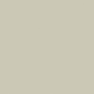 1,4 mm "Artique" Passepartout mit individuellem Ausschnitt 13x18 cm | Lichen