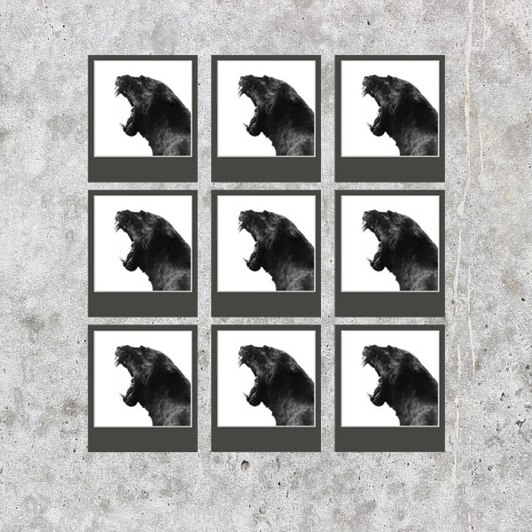 FotoFun Mr. Black - 10er-Set 8,9x10,8 cm (7,6x7,9 cm) | schwarz