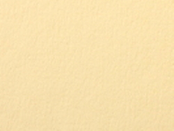 1,4 mm Passepartout mit individuellem Ausschnitt 50x50 cm | Aprikose (236)