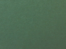 1,4 mm Passepartout mit individuellem Ausschnitt 28x35 cm | Grünfink (237)