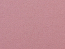 1,4 mm Passepartout mit individuellem Ausschnitt 50x60 cm | Himbeere (216)