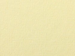 1,4 mm Passepartout mit individuellem Ausschnitt 20x25 cm | Kanarienvogel (209)