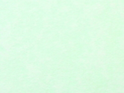 1,4 mm Passepartout mit individuellem Ausschnitt 50x60 cm | Lindgrün marmoriert (264)
