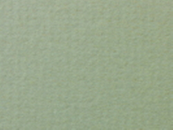 1,4 mm Passepartout mit individuellem Ausschnitt 18x24 cm | Pistazie (239)