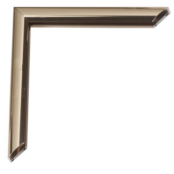 Alu Bilderrahmen Pedro 20x30 cm | Bronze hell glänzend, Rücken gebürstet | Normalglas