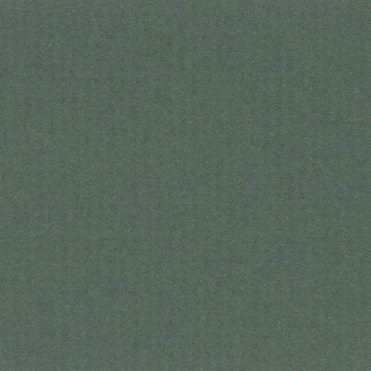 1,4 mm WhiteCore Standard-Passepartout mit individuellem Ausschnitt 21x29,7 cm (A4) | Forest Green
